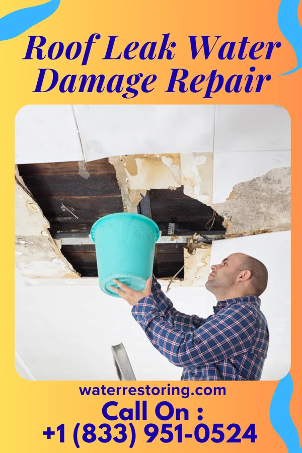 Roof Leak Water Damage Repair in Long Island, KS